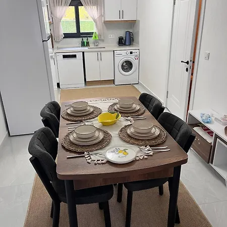 Cozy Life In Heart Of
